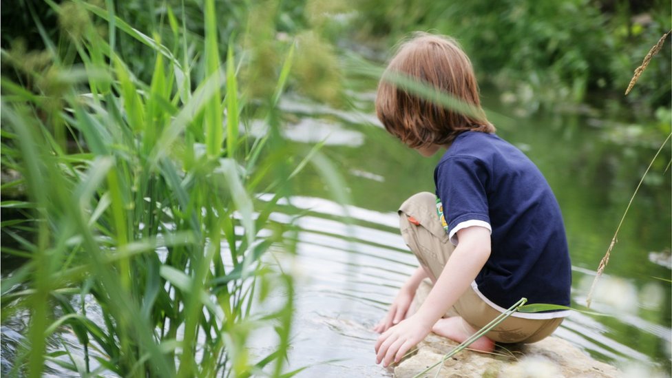 Davljenje: „Brzi i tihi ubica“ godišnje odnese 250.000 života, kako se zaštititi 2 Dečak na obali dira rukom vodu ispred sebe