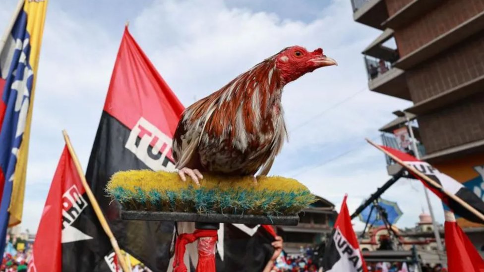 Južna Amerika: Venecuela bira novog predsednika, hoće li Maduro osvojiti treći mandat 2 Detalj Madurove kampanje