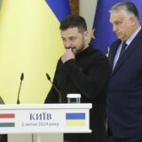 Šta hoće Ukrajinci i zašto Putinov mir neće raditi za Ukrajinu? 9