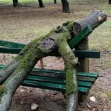 Crni oblaci, obilna kiša i vetar: Promena vremena u BiH 14