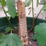 I danas temperature oko 40 stepeni: Od jutros najtoplije bilo u Banatskom Karlovcu 5