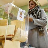 Naprednjaci u Negotinu uveliko u izbornoj kampanji, a u Mionici se pripremaju za asfaltiranje po selima 10