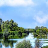 U rukavac Beljarica se direktno ispuštaju fekalne vode: Smrad je nepodnošljiv 4