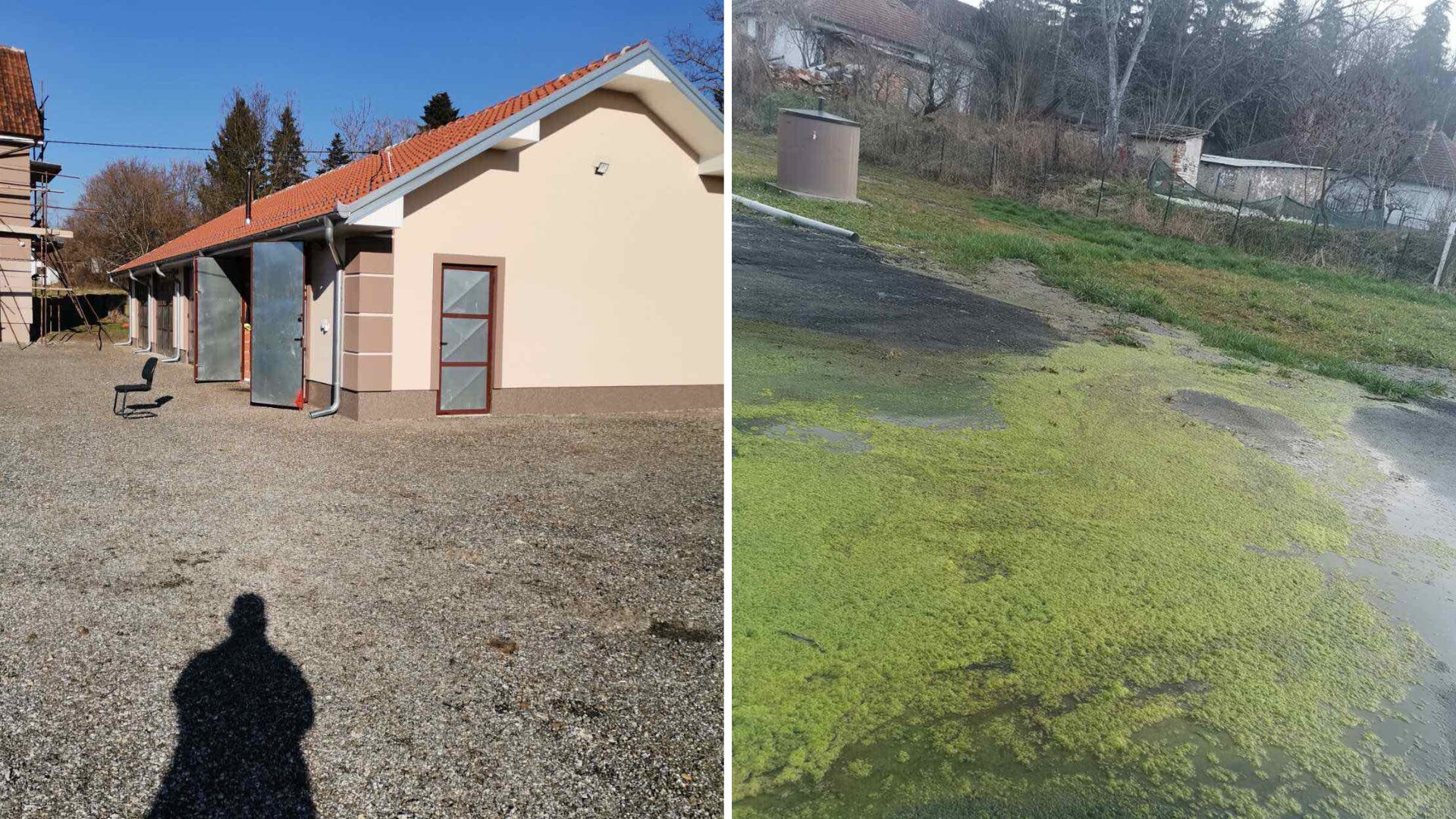 Dvorište Saše Lukića pre i posle izlivanja septičke jame