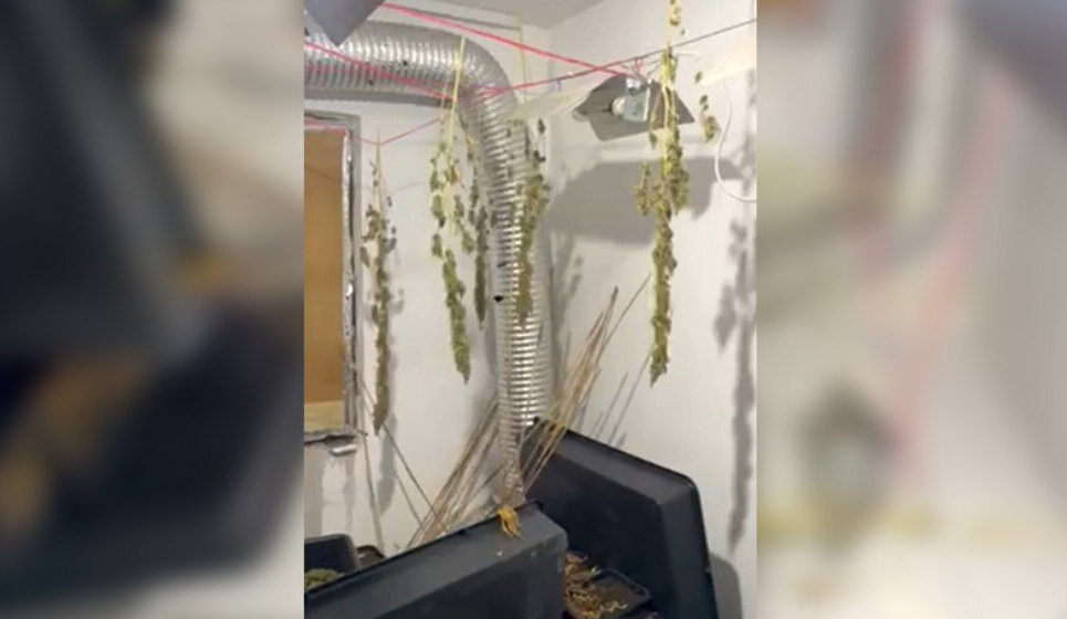 SSP: Ostavka rukovodstva Topole zbog hapšenja brata i sinovca predsednika opštine kod kojih je otkrivena laboratorija marihuane 1