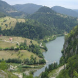 Zašto bi Srbija mogla da ostane bez Pančićeve omorike? 2