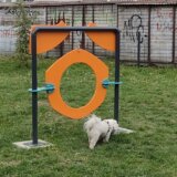 Kragujevac dobio još jedan pet-park za kućne ljubimce 7