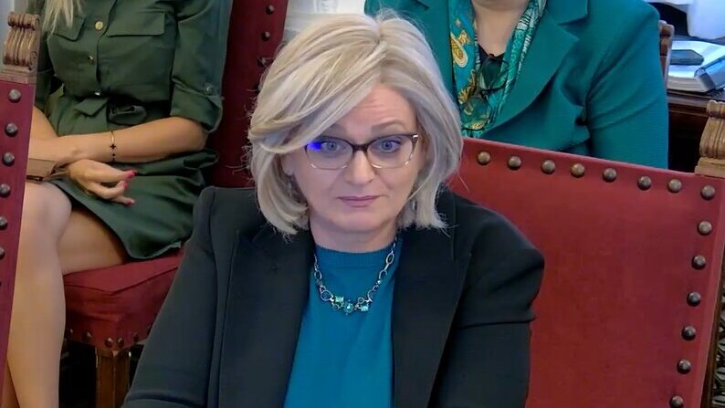 Tabaković: I u Srbiji će biti uvedeno otvoreno bankarstvo 1