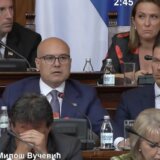 "Zablude o ujedinjenju i ideološko ropstvo": Kako je premijer Vučević pred poslanicima predstavio Deklaraciju sa Svesrpskog sabora? 9