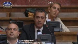 Nikezić (SSP): Od Srbije se traže javne rasprave, a ne javna slušanja