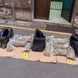 Uhapšeni rođeni brat i sinovac predsednika opštine Topola zbog proizvodnje marihuane 9