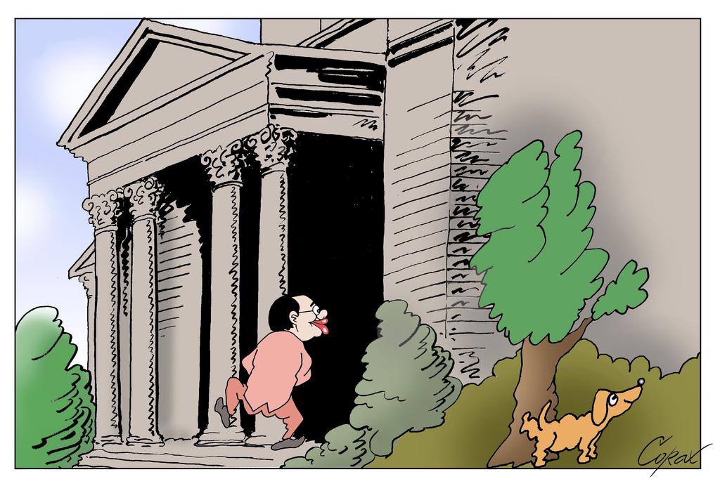 Corax 6