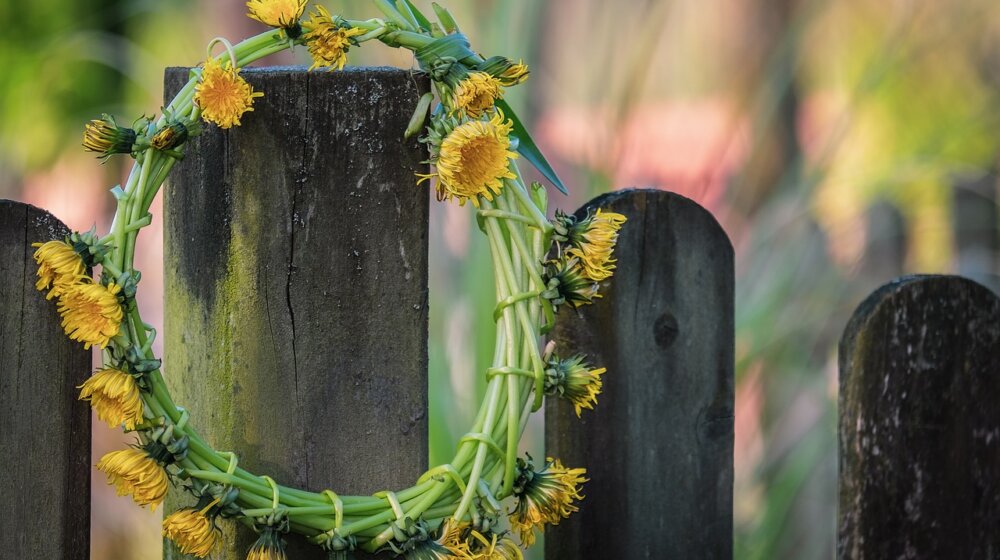 Danas je Ivanjdan: Koja su verovanja i običaji? 1