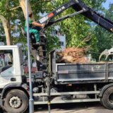 JKP "Zelenilo-Beograd" do sada intervenisalo na 639 lokacija u Beogradu nakon nevremena 3