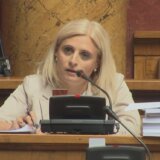 Jelena Pavlović: Bojkot Skupštine je nebitan, nažalost 7