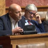 Nemački parlamentarac napustio Skupštinu zbog Nestorovićevog poslanika 2