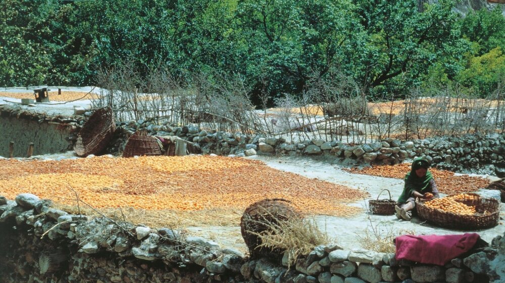Donosimo vam jelovnik najzdravijeg naroda na svetu 1