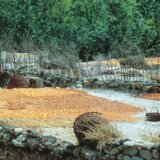 Donosimo vam jelovnik najzdravijeg naroda na svetu 2