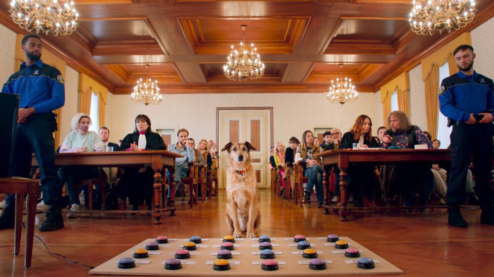 Naslednik Motovuna – Cinehill donosi filmove Kirila Srebrenikova, Agnješke Holand, kao i priču o suđenju psu koji je ugrizao troje ljudi 1