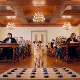 Naslednik Motovuna – Cinehill donosi filmove Kirila Srebrenikova, Agnješke Holand, kao i priču o suđenju psu koji je ugrizao troje ljudi 5