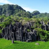 U Indoneziji pronađena najstarija slika na svetu, nastala pre 51.000 godina 3