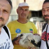 (FOTO) Zaječarci spasili rodu: Kako je izgledala borba za jedan život? 6