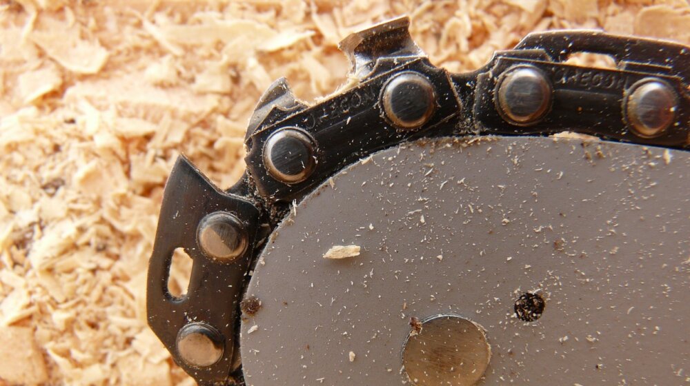 U Skerlićevoj posečeno nekoliko stabala zbog garaže, na licu mesta građevinske mašine 1