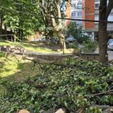 Kablovi oboreni u prolazu između Bulevara kralja Aleksandra i Batutove ulice nisu ni u vlasništvu ni u nadležnosti Elektrodistribucija Srbije 12