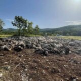 Arheolozi istražuju stećke kod Bileće: Pokušavamo da utvrdimo koje su sve razlike unutar ovog fenomena 2