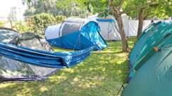 (FOTO) Mladi koji su prvi put došli u Srbiju i očekivanje dobre žurke: Kakva je atmosfera u Exit kampu? 14