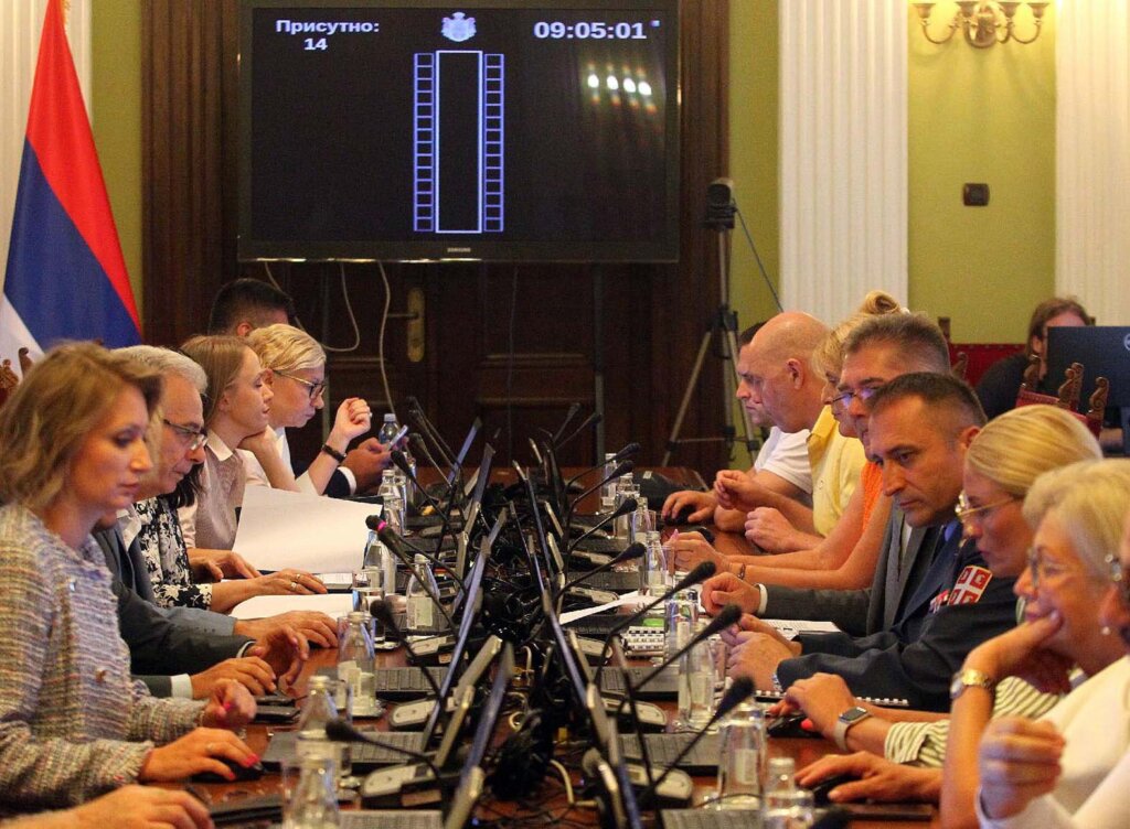 Dačić poslanicima podnosi izveštaj, Aleksić i Ponoš poručili da ne žele da slušaju o statistici 3 Dačić poslanicima podnosi izveštaj, Aleksić i Ponoš poručili da ne žele da slušaju o statistici 3