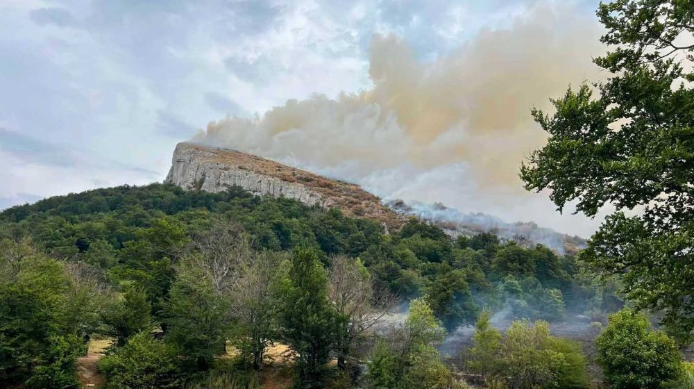 Sektor za vanredne situacije: 168 požara i 26 intervencija u protekla 24 časa 1