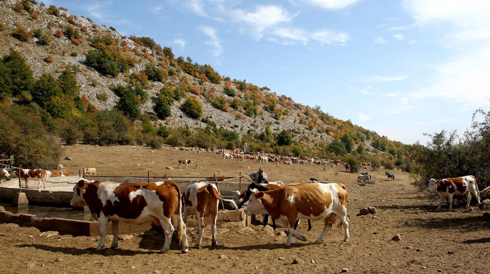 Pripadnici Vojske Srbije pomažu u opštinama koje se suočavaju s nestašicom vode, pomoć i za stoku na Suvoj planini 1