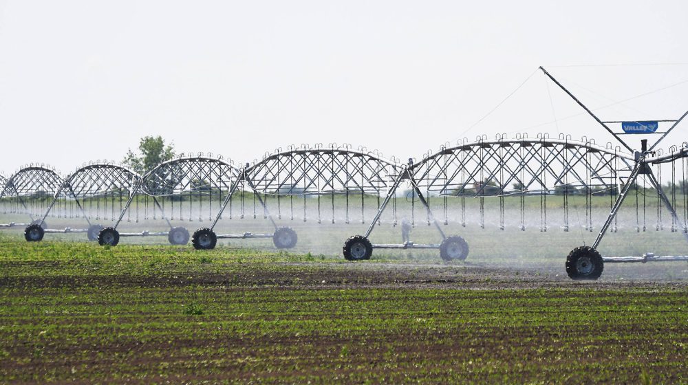 DRI: Uloženo 58 miliona evra za navodnjavanje, sistemi nisu pušteni u upotrebu 1