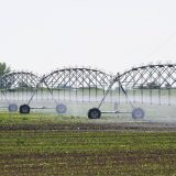 Nastavljeni radovi na sistemu "Srednja Bačka" : Uskoro navodnjavanje na 200 hektara 3