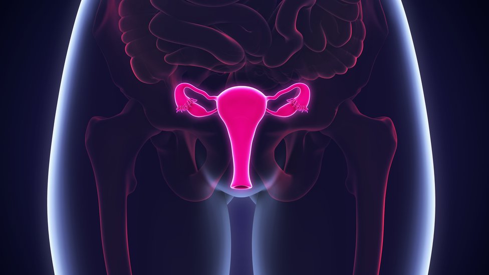 Suvoća vagine: Jeste problem, orošavanje nije rešenje 1 vagina