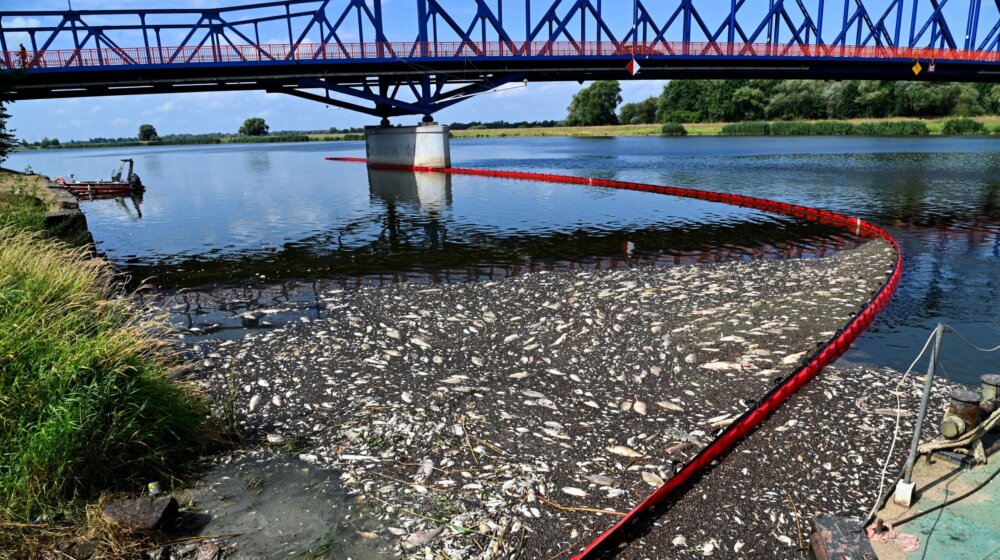 Sipaju vodonik peroksid u reku: Poljska dve godine nakon pomora ribe u Odri 1