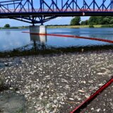 Sipaju vodonik peroksid u reku: Poljska dve godine nakon pomora ribe u Odri 8