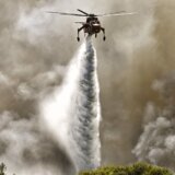 Evakuišu se čitava naselja, plamen dostiže 25 metara u visinu: Veliki požar u Grčkoj (VIDEO) 12