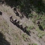 Rusi i dalje nemaju rešenje za Kursk: Ukrajinci nezaustavljivi, evakuisano 200.000 ljudi 3