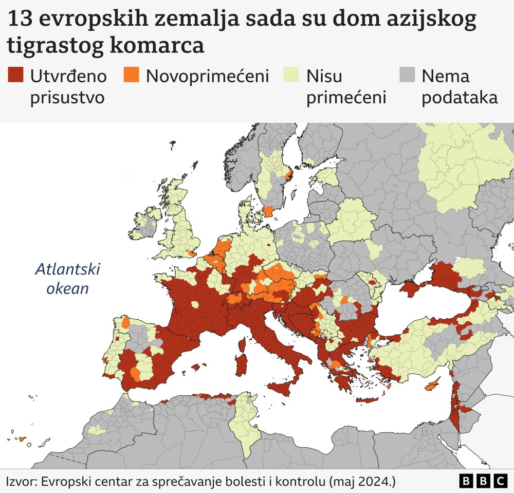 Zašto su komarci najveći neprijatelj čoveka i ima li spasa od njih 2 komarci