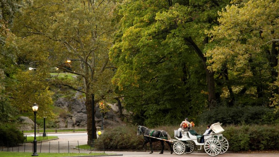 Klimatske promene: Četiri načina na koje se gradovi rashlađuju tokom letnjih vrućina 2 Central park u Njujorku