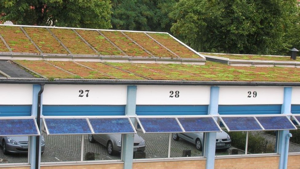 Klimatske promene: Četiri načina na koje se gradovi rashlađuju tokom letnjih vrućina 3 zeleni krov