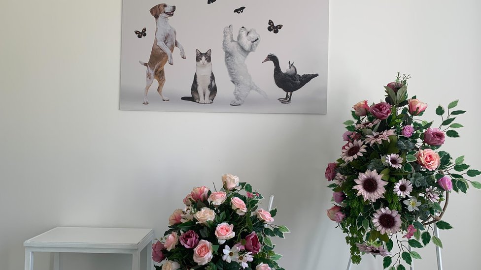 Srbija: Šta raditi kad vam ugine kućni ljubimac 3 Soba za ispraćaj