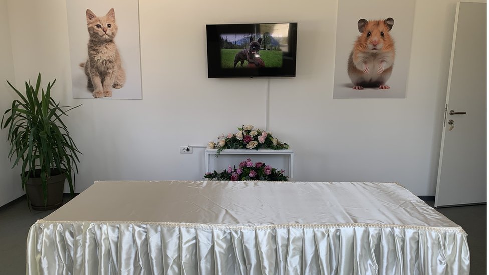 Srbija: Šta raditi kad vam ugine kućni ljubimac 2 Soba za ispraćaj