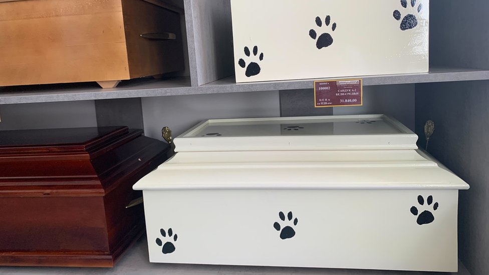 Srbija: Šta raditi kad vam ugine kućni ljubimac 5 sanduci