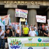 Rio Tinto u Srbiji: Protest protiv iskopavanja litijuma u Beogradu 15