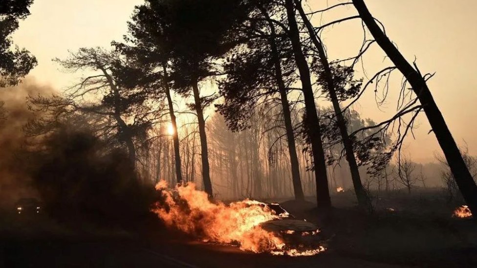 Požari u Grčkoj: Nastavlja se evakuacija stanovnika, „boli, tužni smo i besni" 13 Automobili u plamenu dok šumski požari besne u selu Varnavas