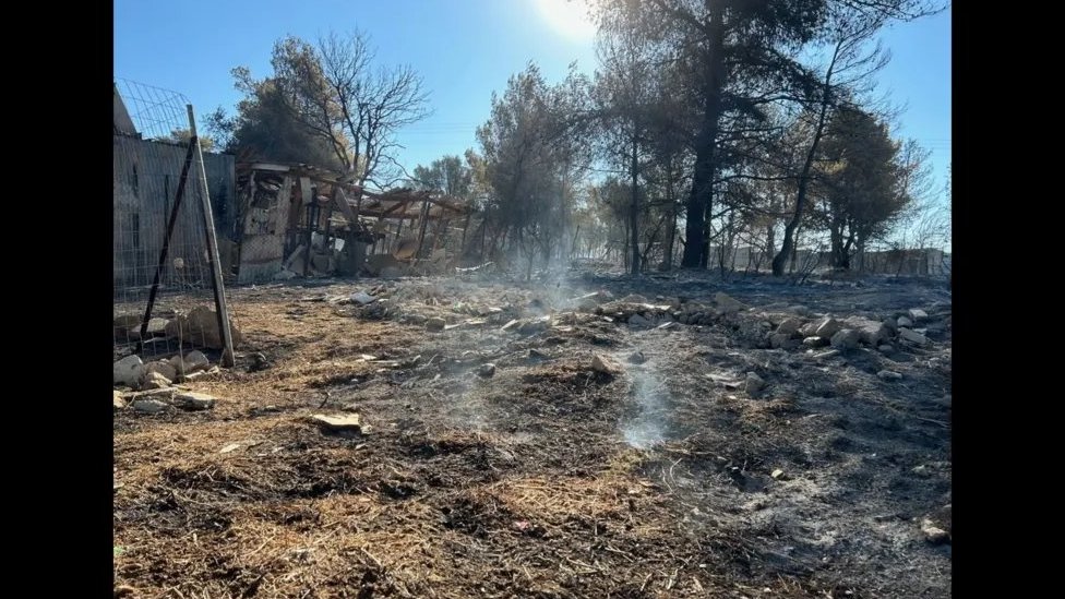 Požari u Grčkoj: Nastavlja se evakuacija stanovnika, „boli, tužni smo i besni" 2 grčka, požari u grčkoj, šumski požari, požar kod atine