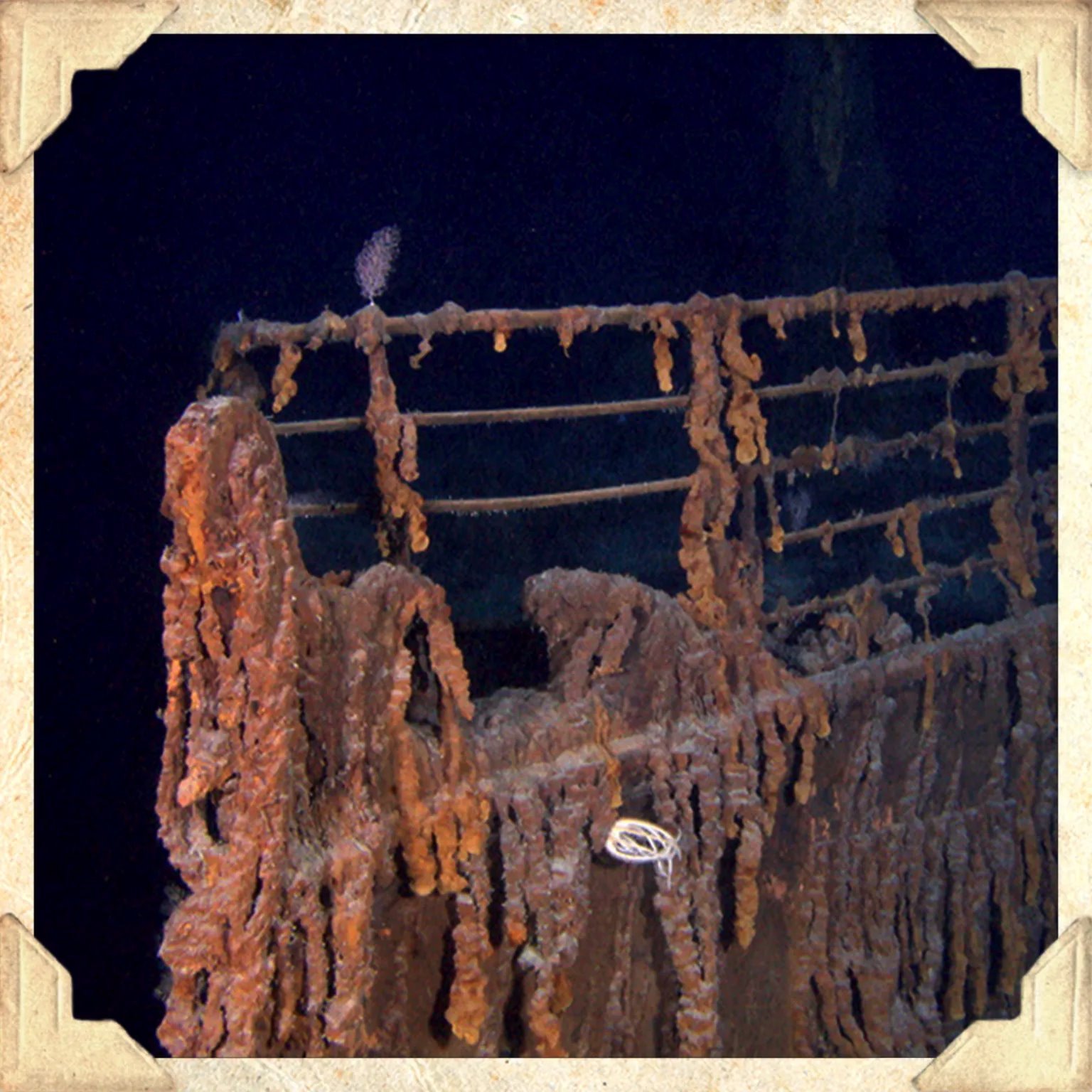 Titanik: Skrivene priče putnika čuvane u tajnom skladištu 6 Pramac olupine Titanika